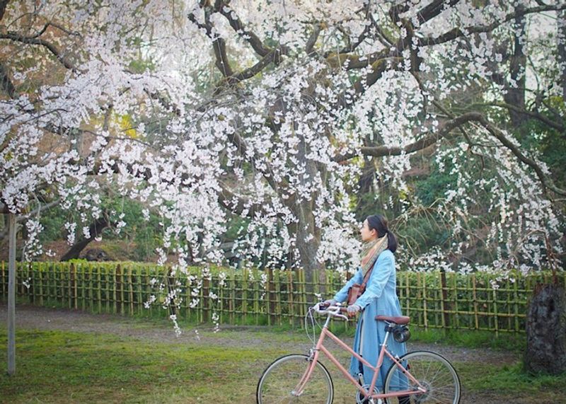 京都桜の名所＆グルメ① 京都御苑と京都牛100％ハンバーガー【町家宿おかみの、たびする京都くらす京都。】
