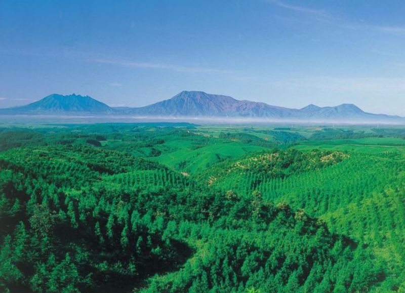リアルな旅はすぐそこ。熊本を丸ごと楽しむヴァーチャルトラベル体験！
