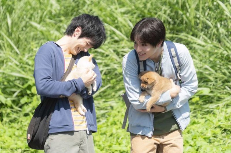 林遣都さん主演の映画『犬部！』　脚本・山田あかねさんの深いワンコ愛