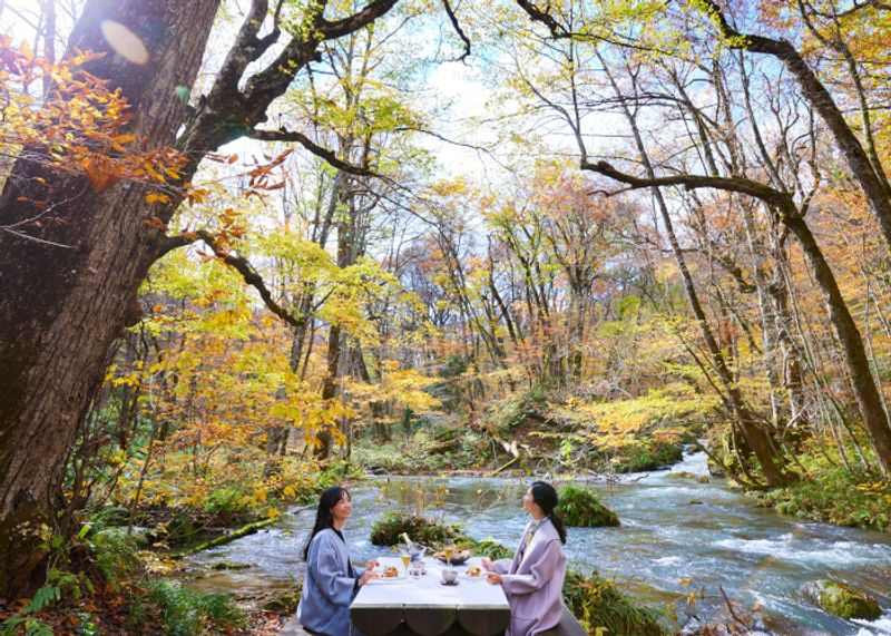 黄金色の紅葉とシャンパーニュを楽しむ、青森「奥入瀬渓流」の秋
