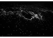 レンズを通じて自然現象に潜む不可思議を捉える。高木由利子 写真展「chaoscosmos vol.2 - sakura -」