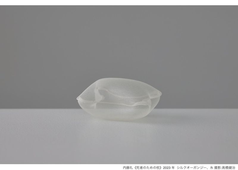 「地上の生の光景」を見出す美術家・内藤礼の個展。東京国立博物館「内藤礼 生まれておいで 生きておいで」