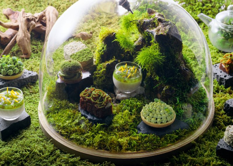 苔のアフタヌーンティーが新登場。「星野リゾート　奥入瀬渓流ホテル」の苔づくしの宿泊プラン