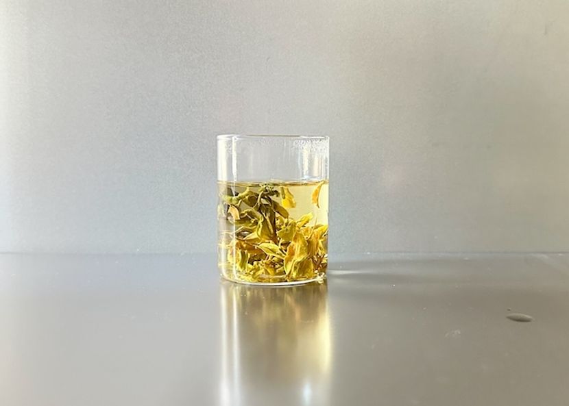 大輪の花のようなインド・ダージリン【お茶で世界を、覗こう】