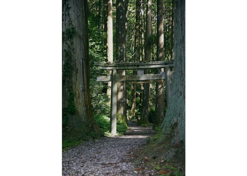 隠岐島でパワーチャージ！ 150社が存在する神出づる島で神社巡り〈後編〉