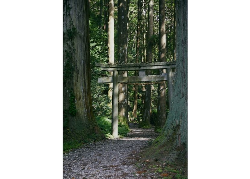 隠岐島でパワーチャージ！ 150社が存在する神出づる島で神社巡り〈後編〉