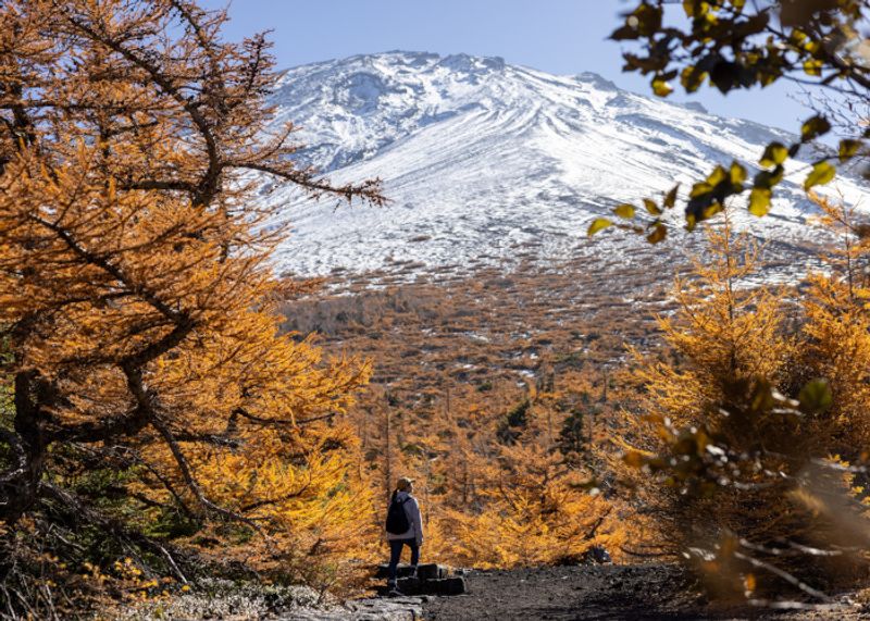 秋の絶景を求めて。紅葉×富士山を楽しむトレッキングへ