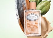 「プラダ ビューティ」新フレグランスは、肌に溶け込む“チャイ”の香り