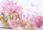 春の銀座に新作ジュエリーが集結。ミキモト銀座4丁目本店で「SAKURA WEEK」開催