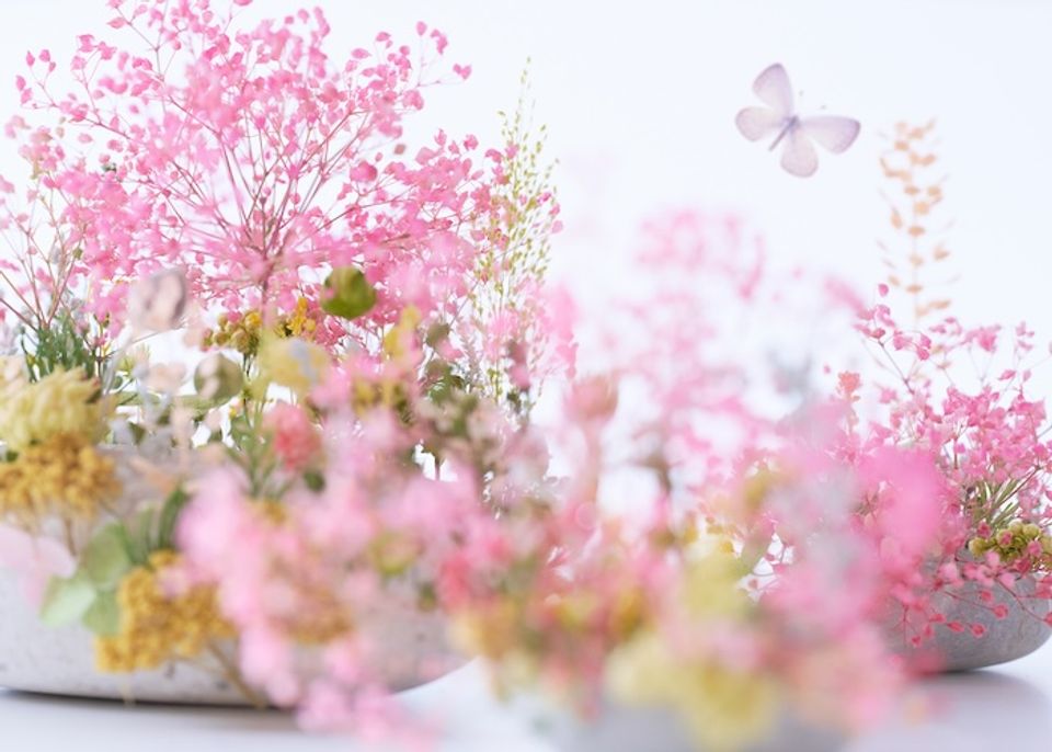 春の銀座に新作ジュエリーが集結。ミキモト銀座4丁目本店で「SAKURA WEEK」開催