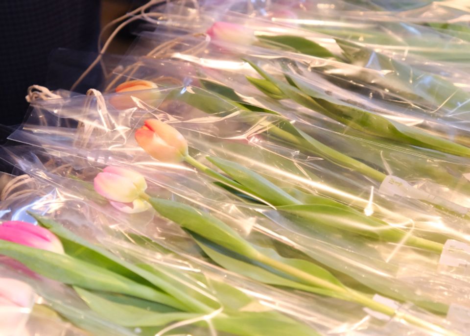 銀座から発信する社会貢献活動「銀座の街の花贈り」が3月15日開催。2本の花を無償でプレゼント