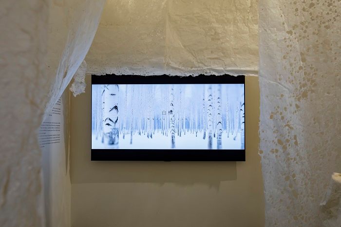 阿部伸吾氏の映像作品「story」。自然を写すダイヤルのテクスチャーがほどけ、光と影が繊細に変化する中で、「凝縮された時間」を映像として表現した