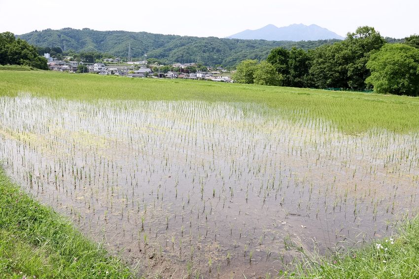 一棟貸しの文化邸宅「宿場esoto」で、土地の記憶に触れる旅を