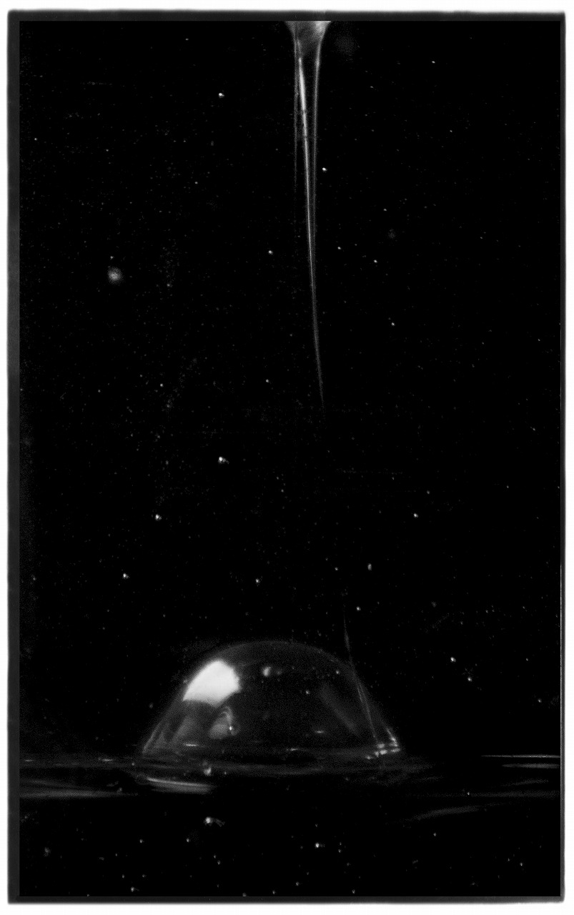 高木由利子 写真展「chaoscosmos vol.3 ‐visible viscosity 可視化され