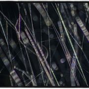 高木由利子 写真展「chaoscosmos vol.3 ‐visible viscosity 可視化された粘性-」、ジャイル ギャラリーにて10月8日から開催