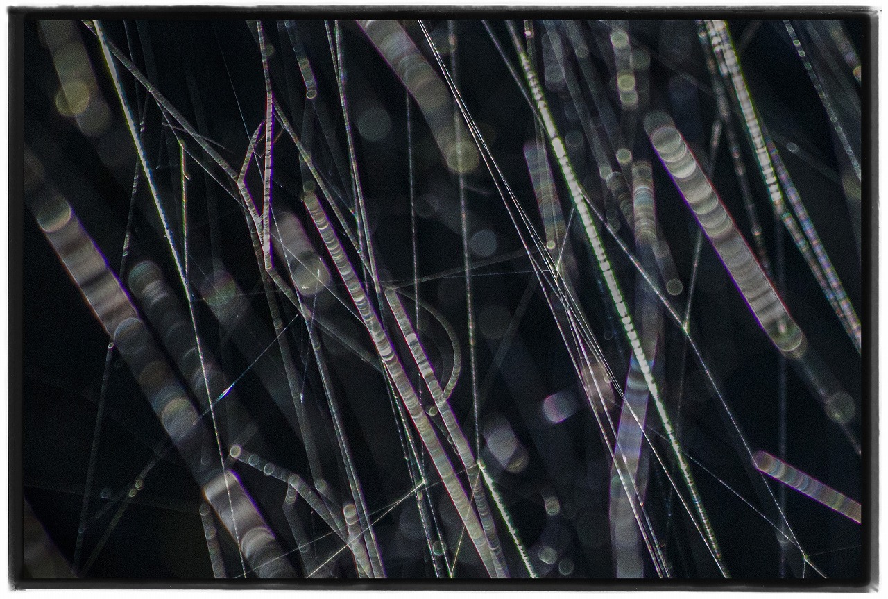 高木由利子 写真展「chaoscosmos vol.3 ‐visible viscosity 可視化され