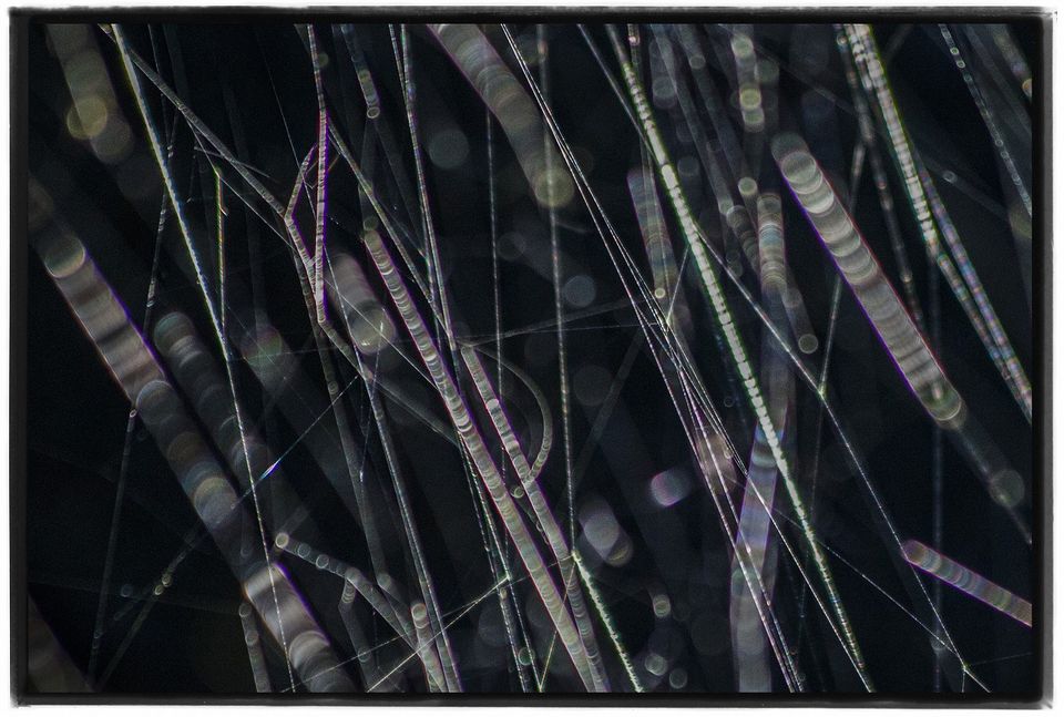 高木由利子 写真展「chaoscosmos vol.3 ‐visible viscosity 可視化された粘性-」、ジャイル ギャラリーにて10月8日から開催