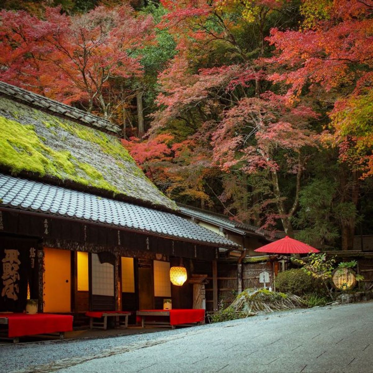 京都嵐山の紅葉の穴場で、老舗「平野屋」の名物を味わう【町家宿おかみの､たびする京都くらす京都｡】