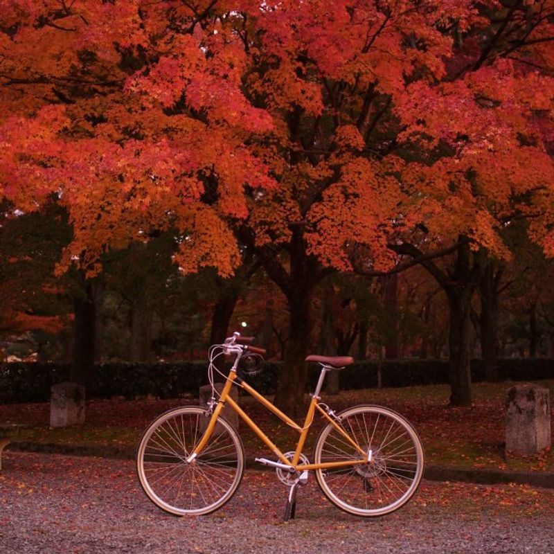 京都・紅葉の名所めぐりに自転車のススメ【町家宿おかみの､たびする京都くらす京都｡】