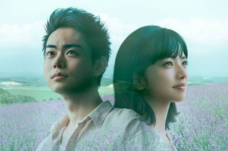 いま話題の人が演じた高純度ラブストーリー３選①菅田将暉