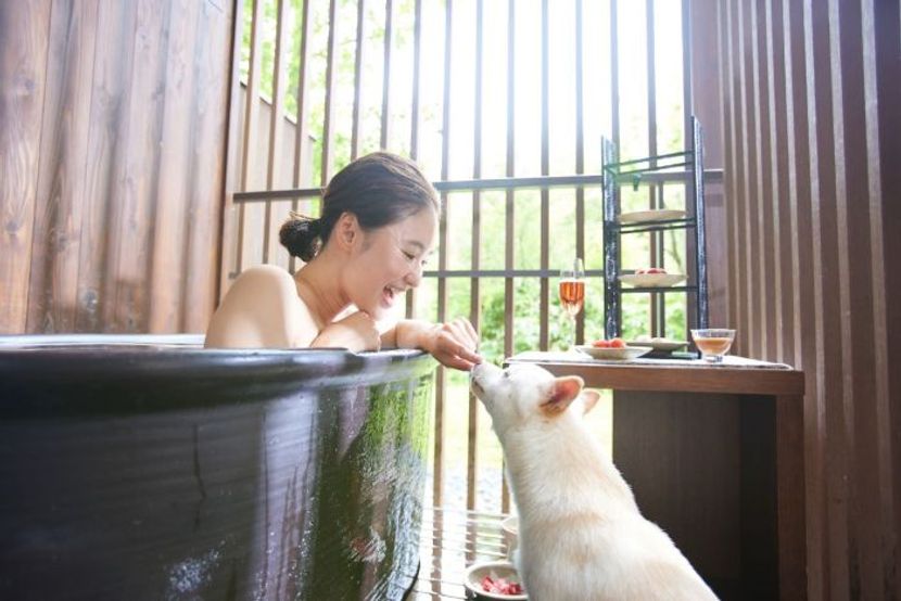 【星野リゾート今だけバナシ】愛犬と「温泉」×「いちご」三昧！