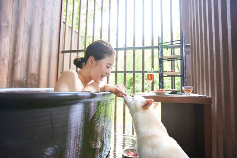 【星野リゾート今だけバナシ】愛犬と「温泉」×「いちご」三昧！