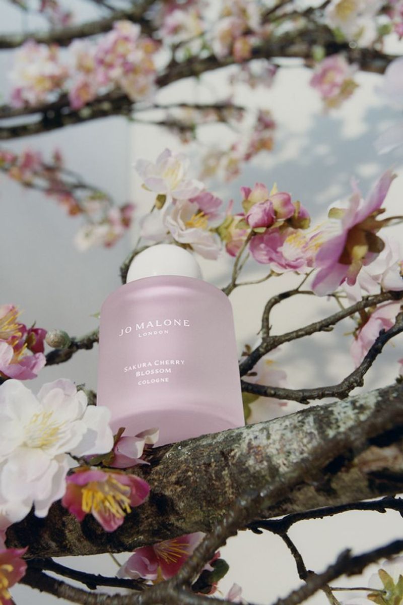 "桜"をテーマにした「ジョー マローン ロンドン」の人気シリーズにヘアミストが登場