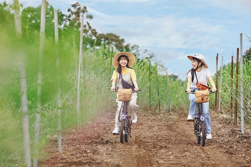 【星野リゾート今だけバナシ】土浦発、早朝サイクリング&採れたてブルーベリーを楽しむ朝活が熱い！