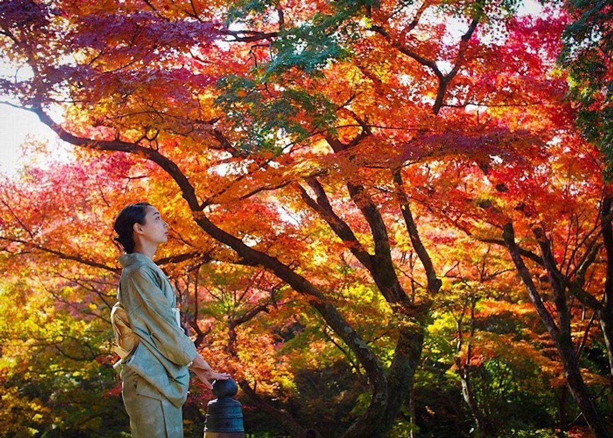 京都・最盛期の紅葉と観光名所、両方楽しむツウのワザ【町家宿おかみの､たびする京都くらす京都｡】