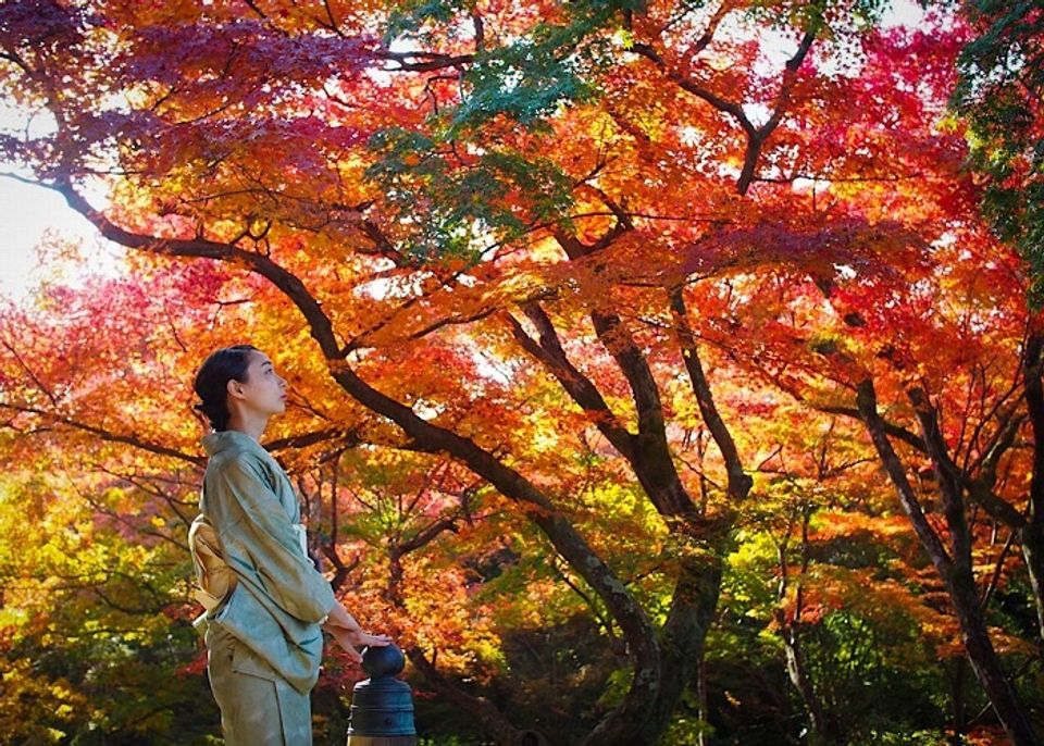 京都・最盛期の紅葉と観光名所、両方楽しむツウのワザ【町家宿おかみの､たびする京都くらす京都｡】